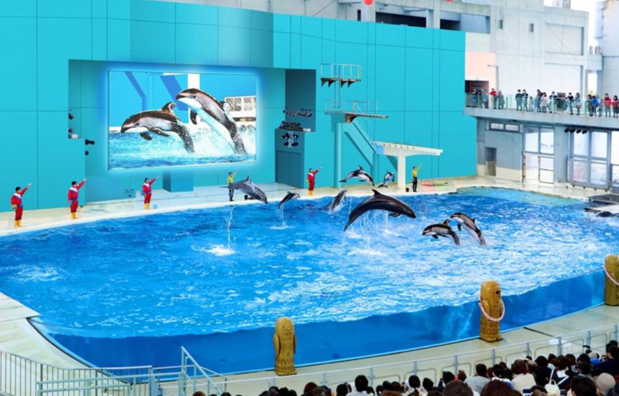 橫濱八景島海島樂園
