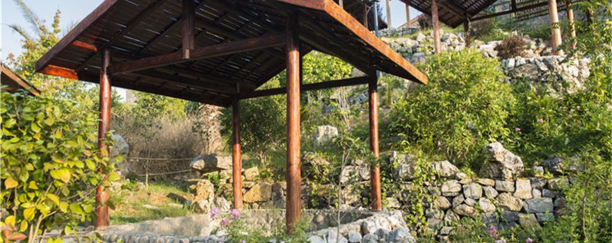 Dibei Hot Spring