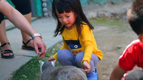 済南野生動物園（ジーナン・ワイルドライフパーク）