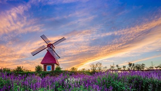 Western Evergreen Liuxian Valley