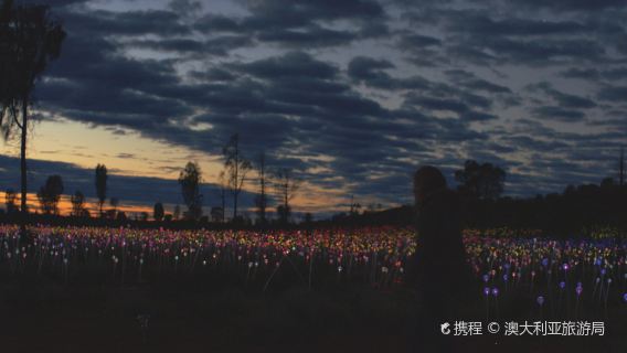 Petermann日遊