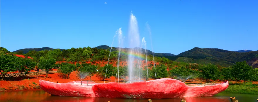Changning Million Cherry Blossom Garden