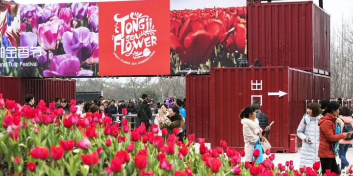 Tongji Flower Sea