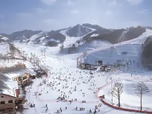 Oak Valley Ski Resort
