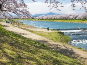 Shiroishi Castle