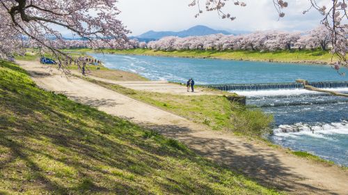 Shiroishi Castle