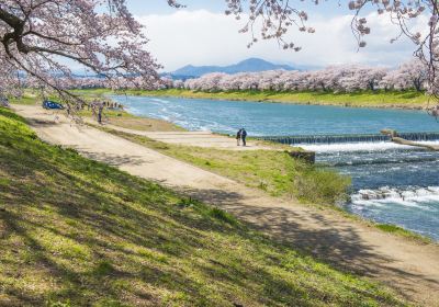 Shiroishi Castle