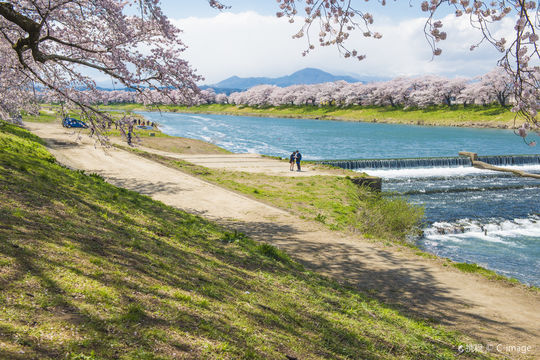 Shiroishi Castle