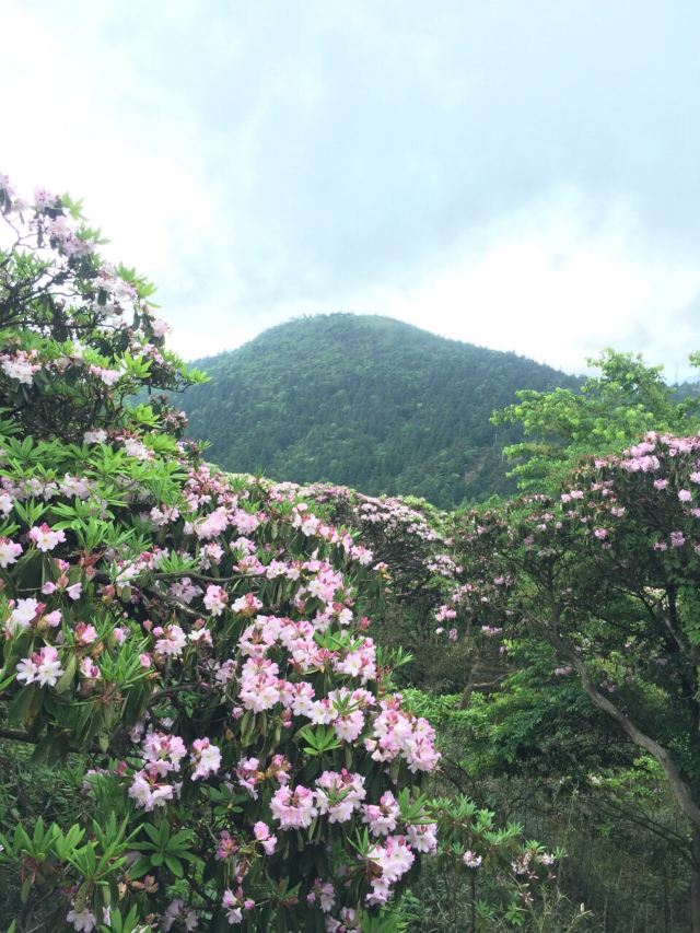 화딩 국가산림공원
