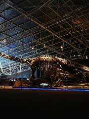 祿豐恐龍博物館