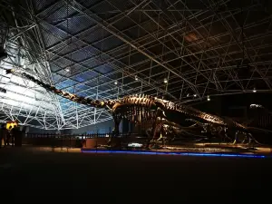 Lufeng Dinosaur Nation Geological Park Museum