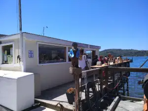 The Marshall Store