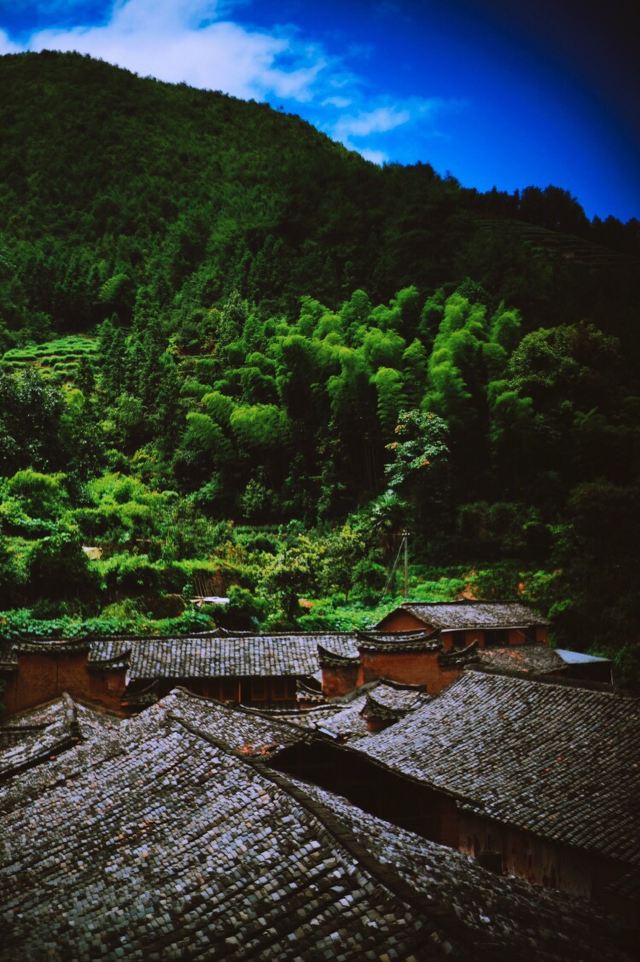 楊家堂村