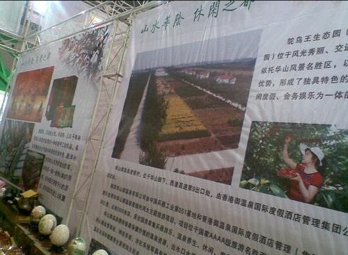 鴕鳥王生態園