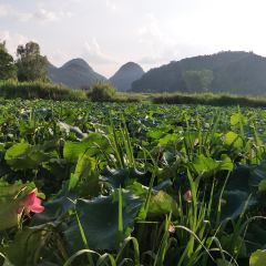 普者黑雅贝餐厅 User Photo