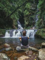 Lamington National Park