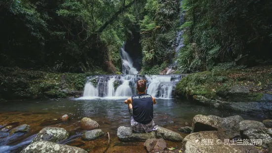 Lamington National Park