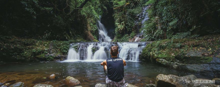 Lamington National Park