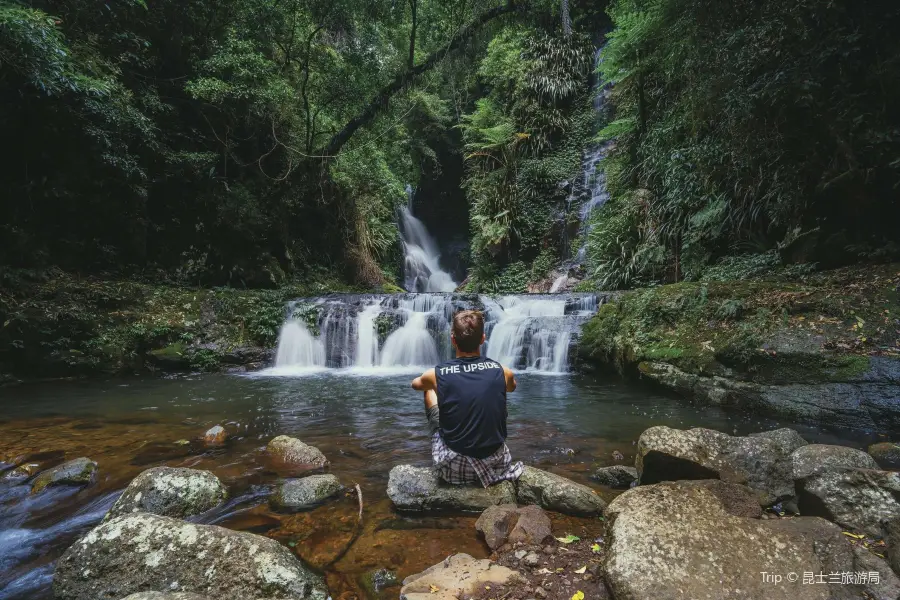 Parque Nacional Lamington