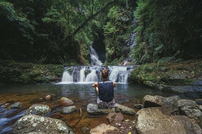 Lamington National Park