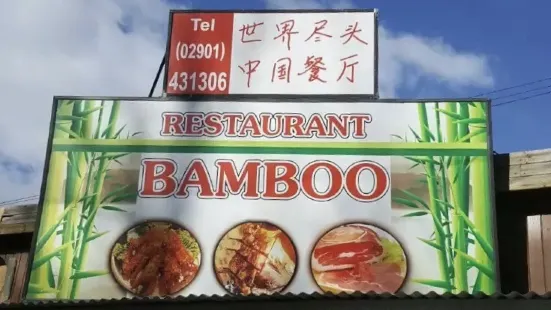 Bamboo