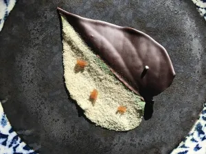 Gaa