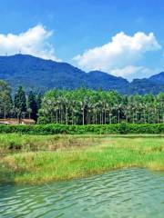 Fuzhou National Forest Park Rare Botanical Garden （South Gate）