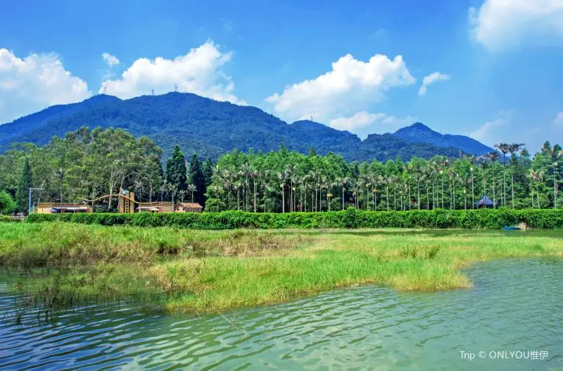 푸저우 국립 삼림 공원 희귀 식물원