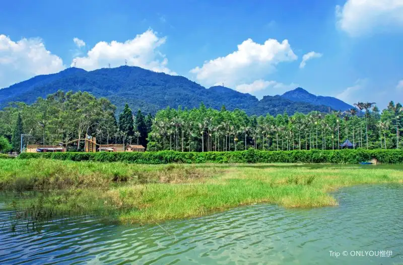 1_Fuzhou National Forest Park Rare Botanical Garden (South Gate)