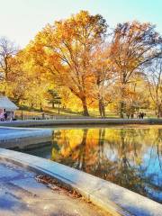 Conservatory Water