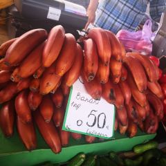 Riga Central Market User Photo