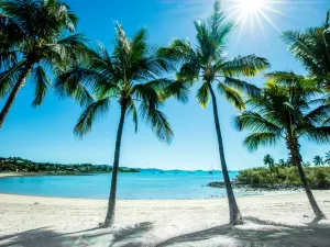 Airlie Beach Lagoon