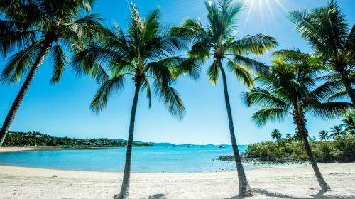 Airlie Beach Lagoon