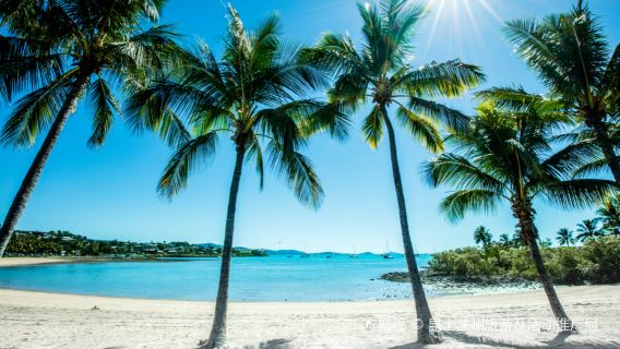 Airlie Beach Lagoon