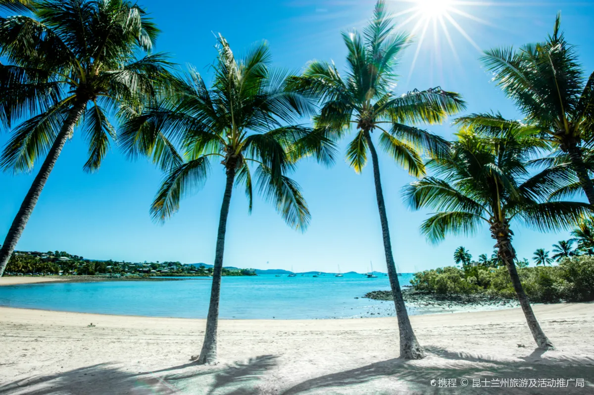 Airlie Beach Lagoon