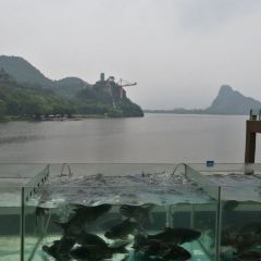 北江渔家中餐厅 User Photo