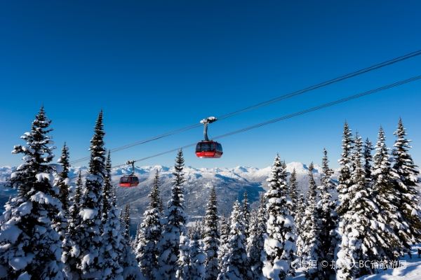 Peak 2 Peak Gondola Whistler