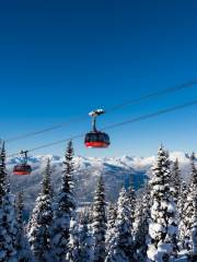 Peak 2 Peak Gondola Whistler