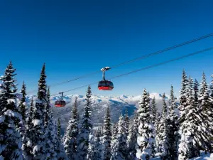 Peak 2 Peak Gondola Whistler