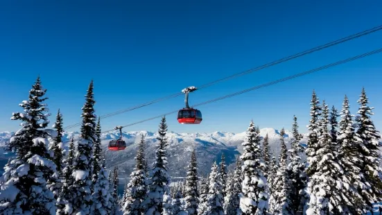 Peak 2 Peak Gondola Whistler