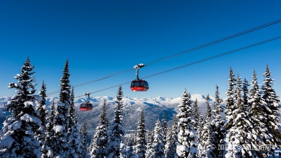 Whistler
