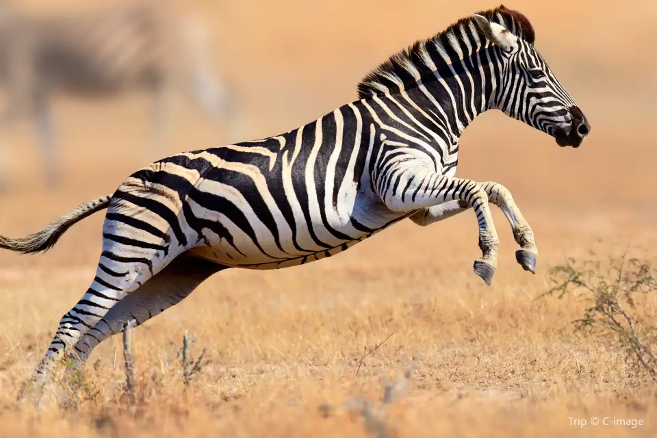 2_Kruger National Park