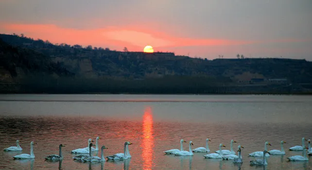 Big Swan Scenic Area
