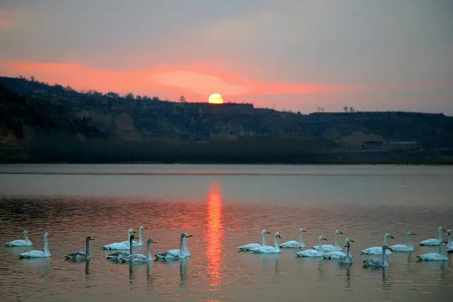 Big Swan Scenic Area