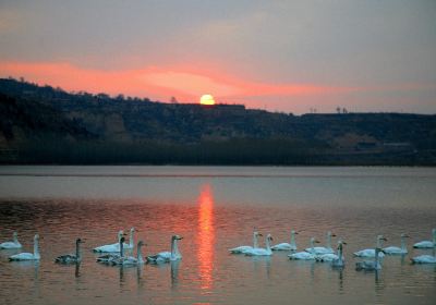 Big Swan Scenic Area