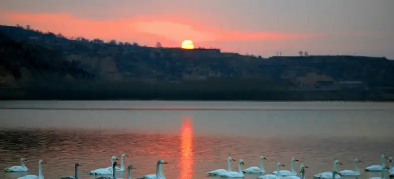 Hotels in Pinglu County