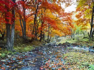 Hongye Valley