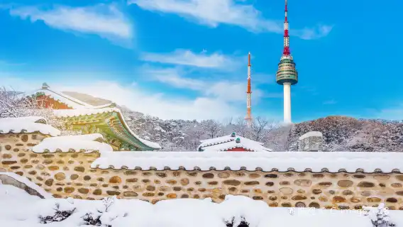 韓國首爾 專業導遊|地陪翻譯