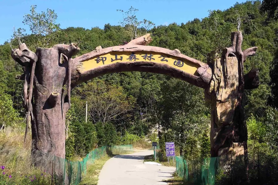 印山國家森林康養基地（印山林場）