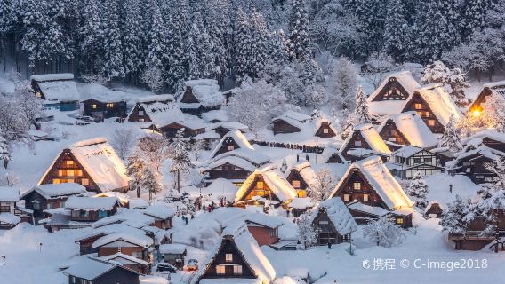 [Pure Fun] Takayama City + Miyagawa Morning Market + Shirakawa-go Gassho Village Observatory one-day tour in Nagoya, Japan